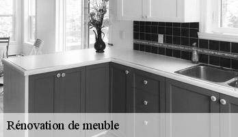 Rénovation de meuble 69 Rhône JC DECO