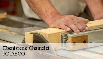 Ebenisterie chamelet-69620 JC DECO