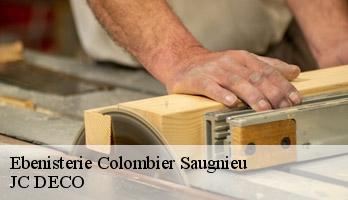 Ebenisterie  colombier-saugnieu-69124 JC DECO