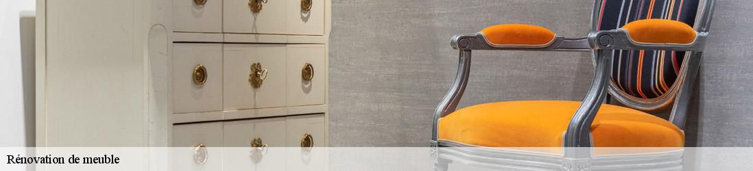 Rénovation de meuble frontenas-69620 JC DECO