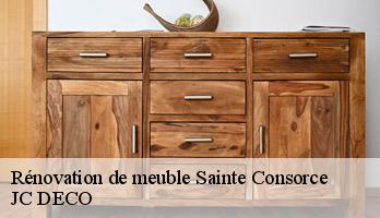 Rénovation de meuble  sainte-consorce-69280 JC DECO
