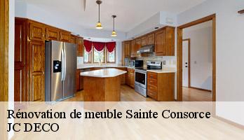 Rénovation de meuble  sainte-consorce-69280 JC DECO